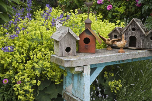 Bird houses on bench in garden by Don Paulson (24 x 15)