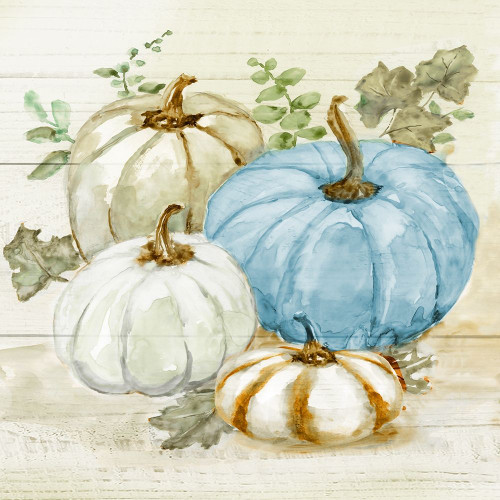 Harvest Pumpkins I by Nan (24 x 24)