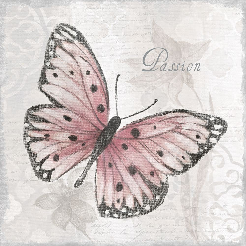 Passion Butterfly by Tava Studios (24 x 24)