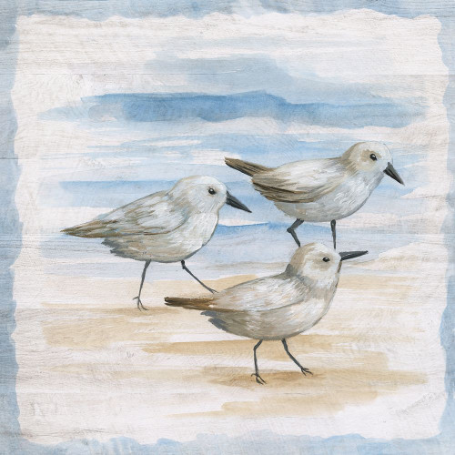 Shore Birds I by Nan (12 x 12)