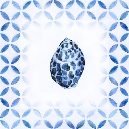 Royal Blue Shell II by Tava Studios (24 x 24)