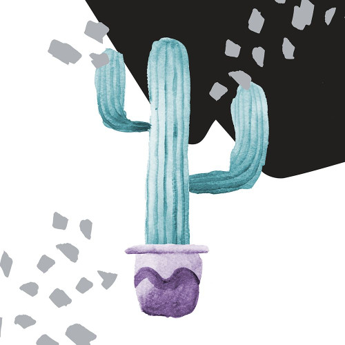 Cactus Decor I by SD Graphics Studio (12 x 12)