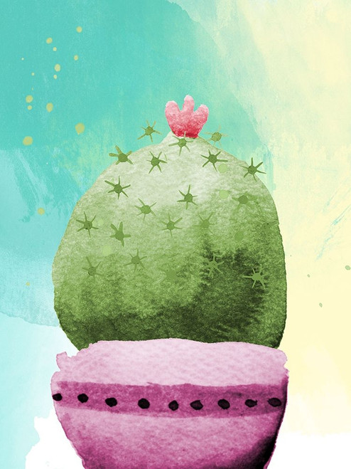 Cactus Party II by SD Graphics Studio (18 x 24)