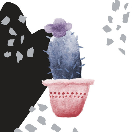 Cactus Decor II by SD Graphics Studio (12 x 12)