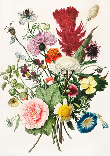 Bouquet of Flowers by Anonymous (18 x 24)