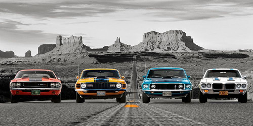 American Bullets - BW by Gasoline Images (24 x 12)