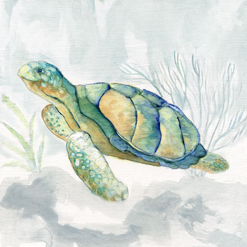 Riding the Current II by Tava Studios (24 x 24)