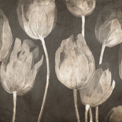 Washed Tulips I by Luca Villa (12 x 12)
