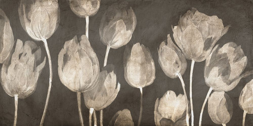 Washed Tulips by Luca Villa (24 x 12)