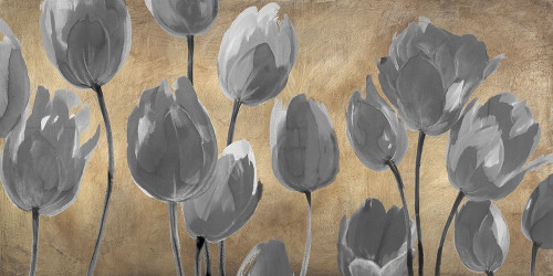 Grey Tulips by Luca Villa (24 x 12)