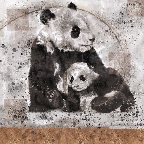 Fibonacci Panda XI by Marta Wiley (12 x 12)