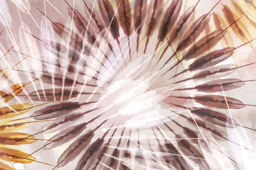 Dance of the Rays II by Eva Watts (24 x 18)