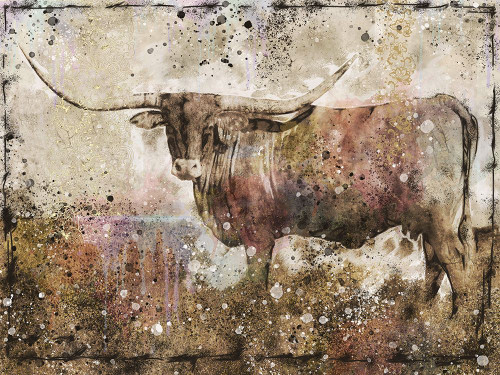 Long Horn I by Marta Wiley (24 x 18)