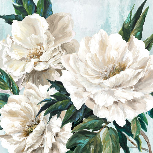 Freshly Bloomed II by Eva Watts (12 x 12)