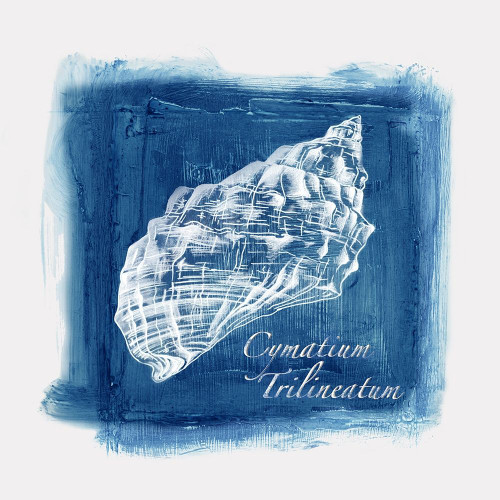 Calm Blue Ocean I by Eva Watts (24 x 24)