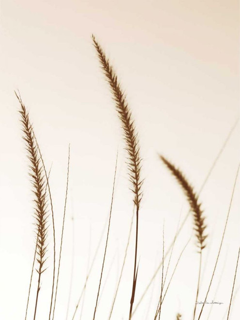 Field Grasses IV Sepia by Debra Van Swearingen (18 x 24)