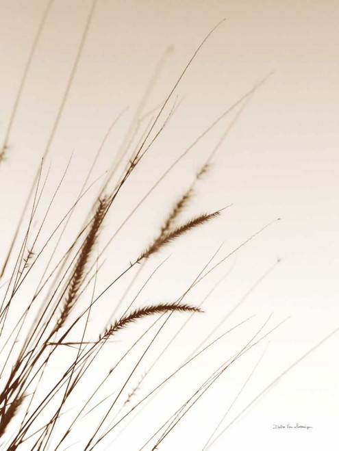 Field Grasses I Sepia by Debra Van Swearingen (18 x 24)