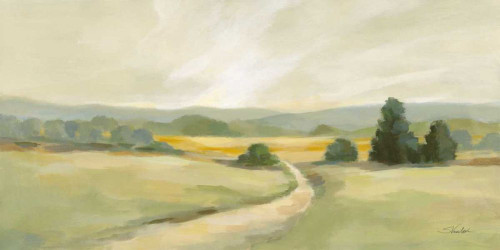 Sage Hills by Silvia Vassileva (24 x 12)