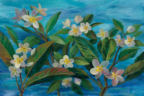 Oceanside Plumeria by Silvia Vassileva (24 x 18)