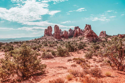 What a View III by Elizabeth Urquhart (24 x 18)