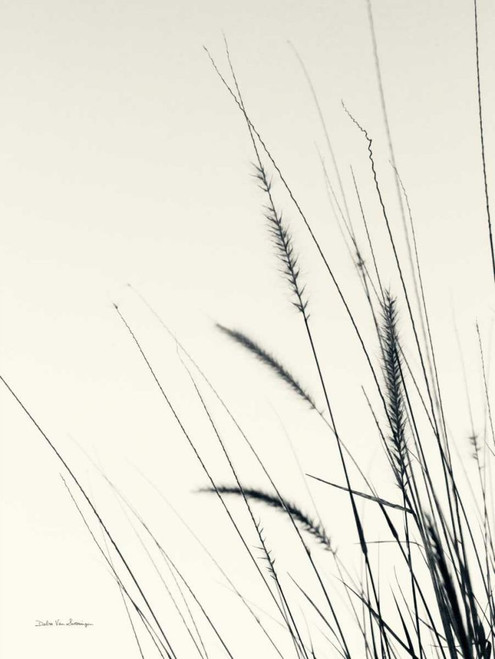 Field Grasses II by Debra Van Swearingen (18 x 24)