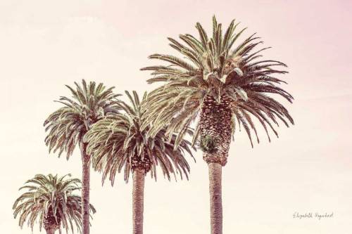 Pastel Palms by Elizabeth Urquhart (24 x 16)
