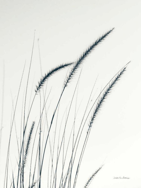 Field Grasses III by Debra Van Swearingen (18 x 24)