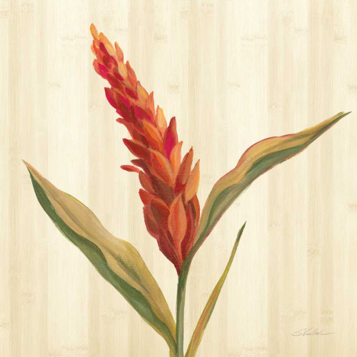 Tropical Garden II by Silvia Vassileva (24 x 24)