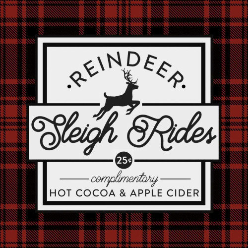 Plaid Holidays III RB by Wild Apple Portfolio (24 x 24)