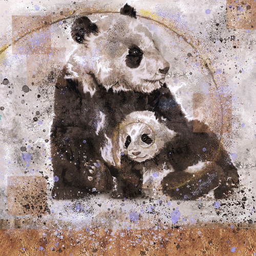 Fibonacci Panda I by Marta Wiley (12 x 12)