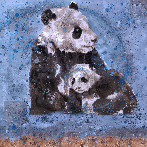 Fibonacci Panda VIII by Marta Wiley (12 x 12)