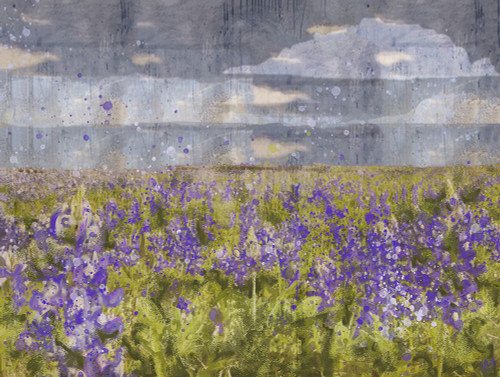 Blue Bell VII by Marta Wiley (24 x 18)