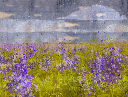 Blue Bell VIIII by Marta Wiley (24 x 18)