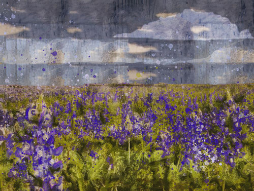 Blue Bell IIII by Marta Wiley (24 x 18)