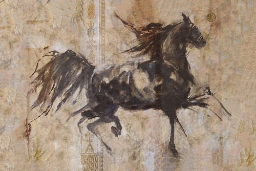 Chinese Lepa Zena III by Marta Wiley (24 x 18)