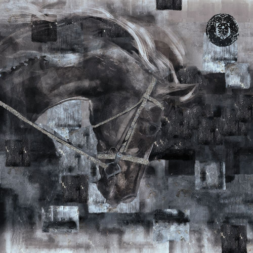 Horse Square Format Black and White by Marta Wiley (12 x 12)