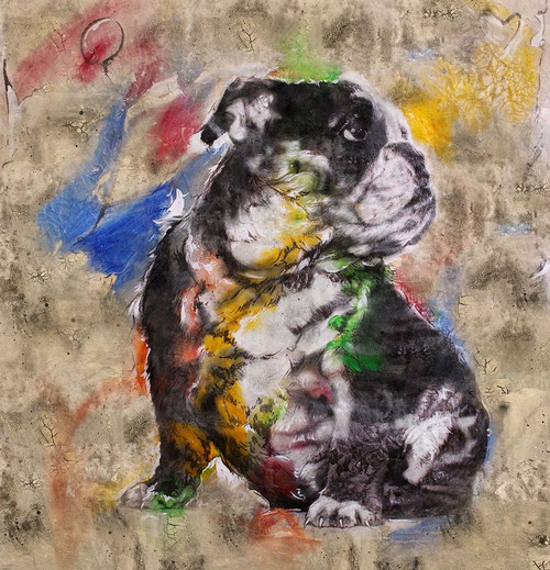 Colorful Dog I by Marta Wiley (18 x 24)