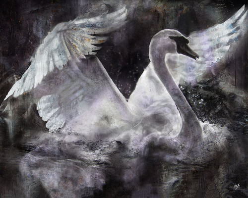 Swan I by Marta Wiley (24 x 18)