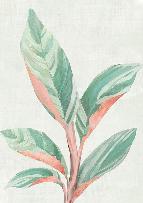 Ginger Plant II by Maya Woods (18 x 24)