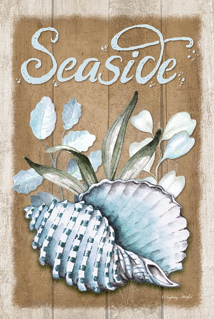 Seaside Conch by Sydney Wright (18 x 24)
