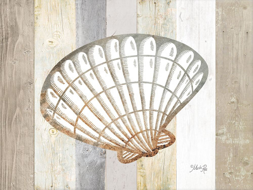 Coastal Shell II by Marla Rae (24 x 18)