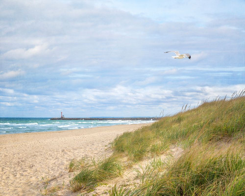 Beach And Jetty by Brooke T. Ryan (24 x 18)