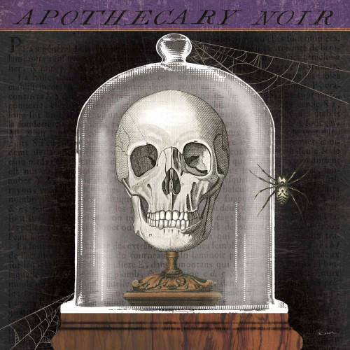 Apothecary Noir III by Sue Schlabach (24 x 24)