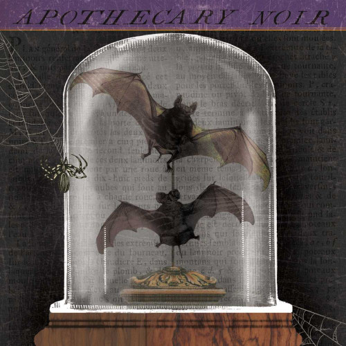 Apothecary Noir IV by Sue Schlabach (24 x 24)