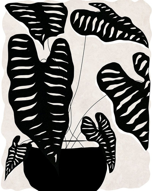 Black and White Potted Plant II by Daniela Santiago (18 x 24)