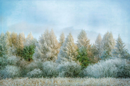 Winter Wonderland by Brooke T. Ryan (24 x 18)