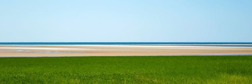 Brewster Abstract by Brooke T. Ryan (24 x 8)