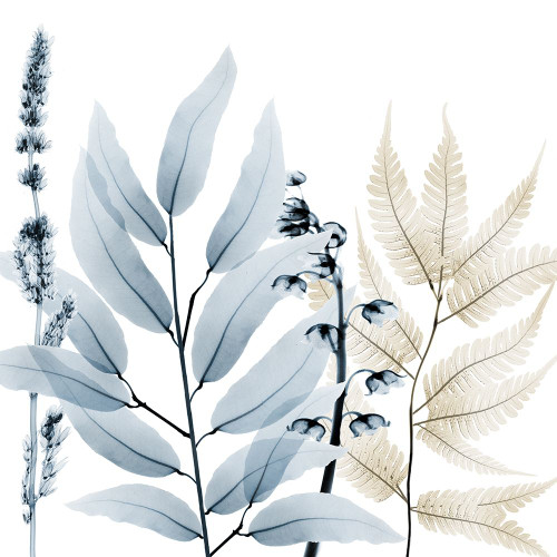 Dusk And Dawn 1 by Albert Koetsier (24 x 24)