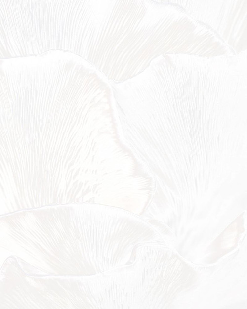 Alabaster Mushroom 2 by Leah Straatsma (18 x 24)