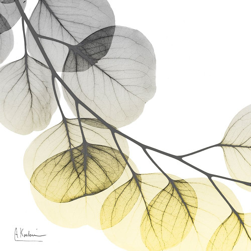 Brilliant Eucalyptus 2 by Albert Koetsier (12 x 12)